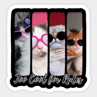 Too Cool for Rules – Stylish Cat Attitude Sticker